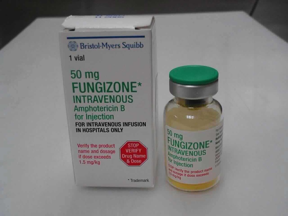 FUNGIZONE