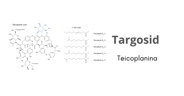 targosid-polvere-e-solvente-per-soluzione-iniettabile-200-mg