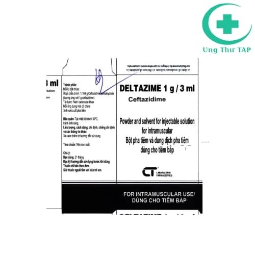 DELTAZIME