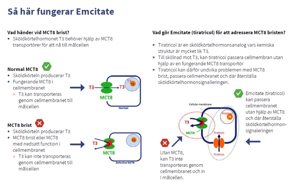 EMCITATE